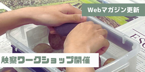 石を触って確かめる参加者の手元のアップ